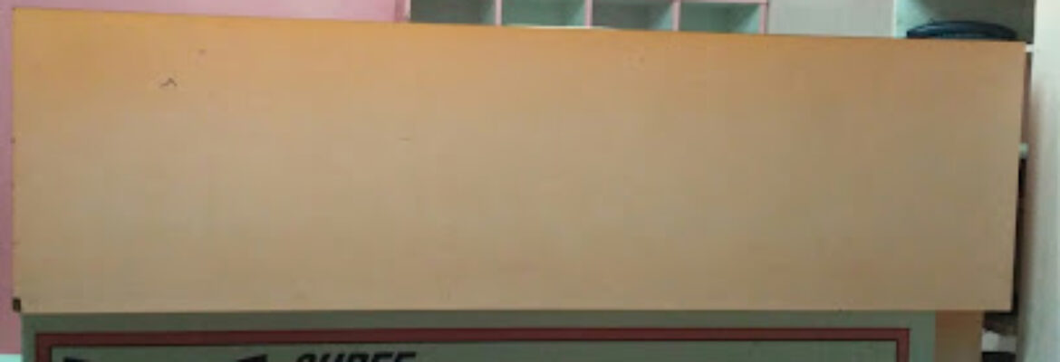 SHREE MAHAVIR COURIER SERVICES PVT.LTD.
