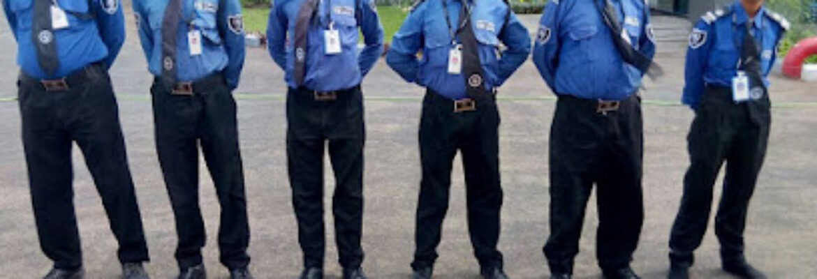 Lynx Security Agency