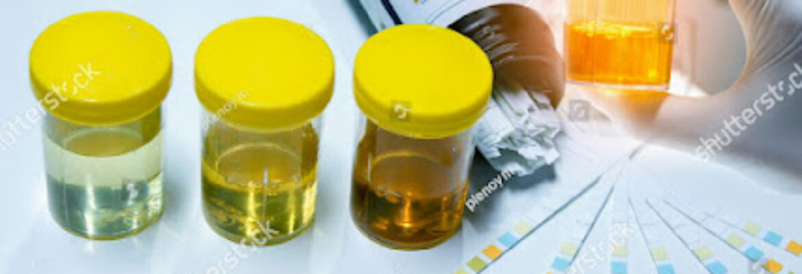 Nidan Pathology Lab (NABL Accredited , ICMR Approved Laboratory)