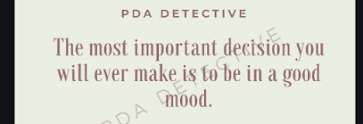 PDA Detective Agency Pune