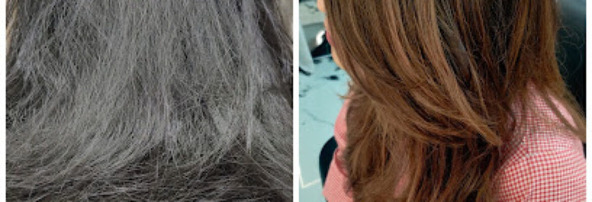 K SALONS PROFESSIONALS