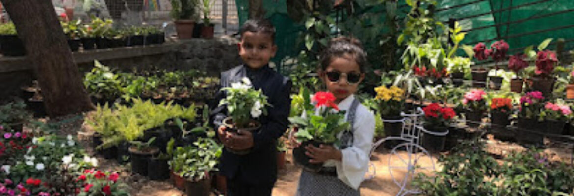 NPLANTS NURSERY & LANDSCAPE SERVICES