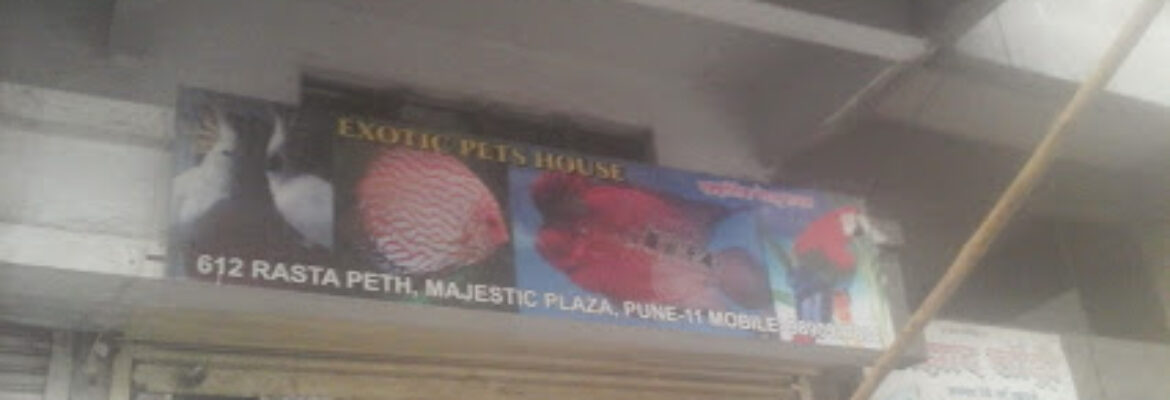 Exotic pets house