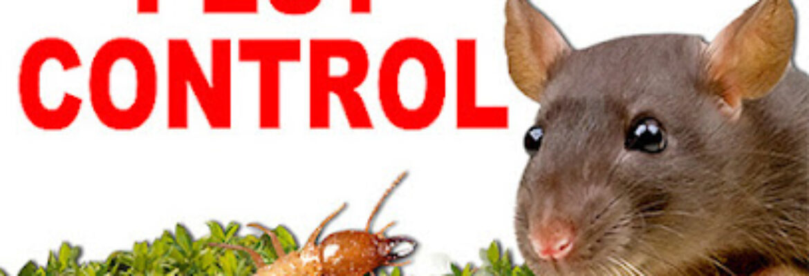 Hisecure -Pest Control Services in Pune