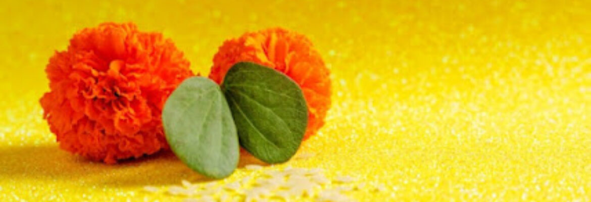 Dr Shirke’s Shri Vishwanand Ayurvedic Clinic & Panchkarma Centre