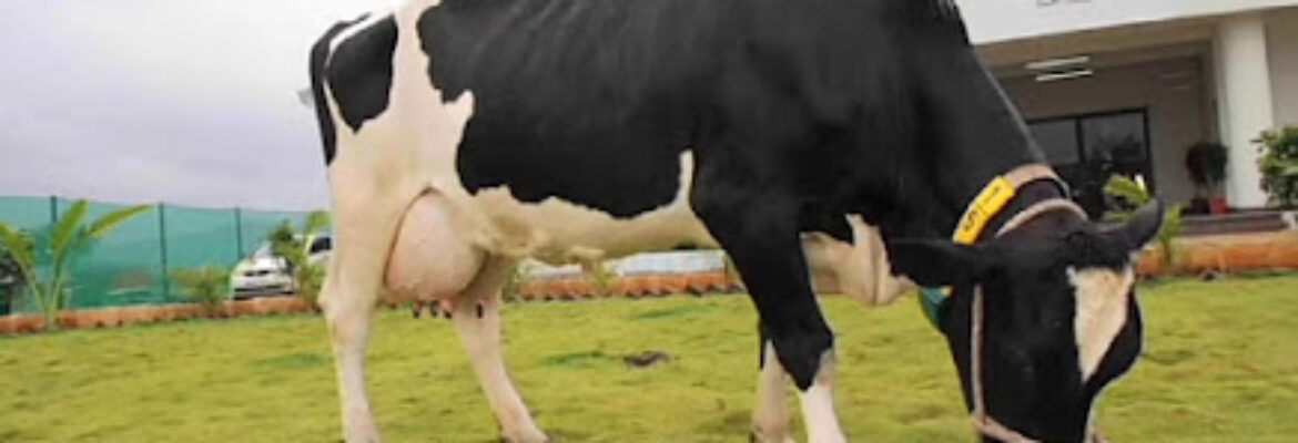 Parag Milk Foods Pvt. Ltd