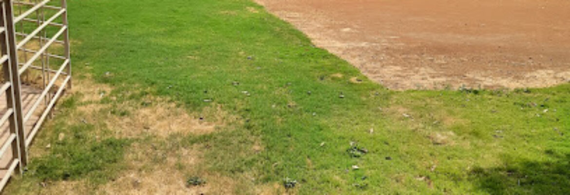Raja Dhanraaj Girji High School and Junior College