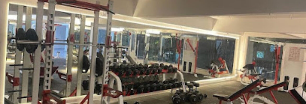 Universal Gym | Best Gym In Camp Pune