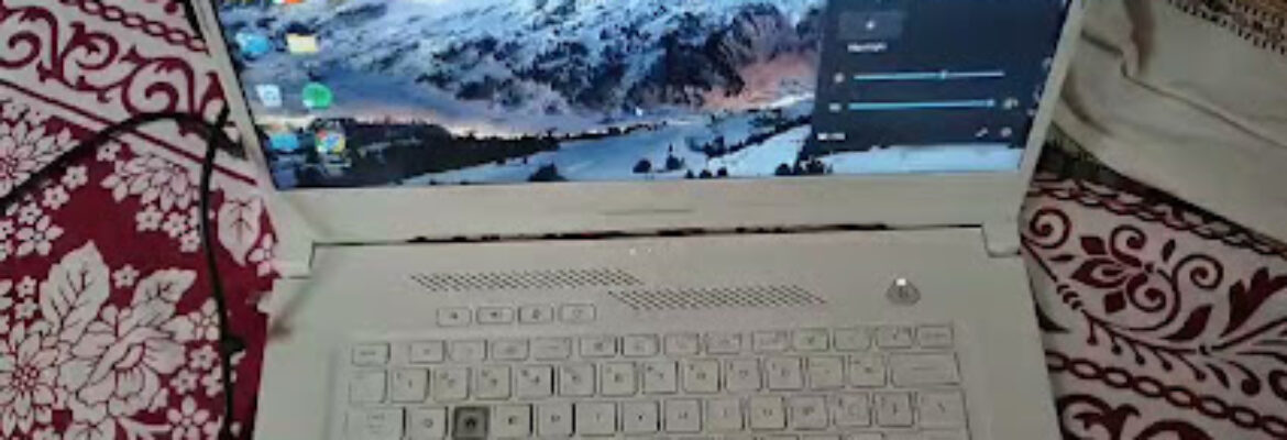 LapDoc