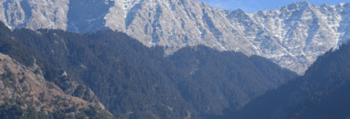 Priya Holidays