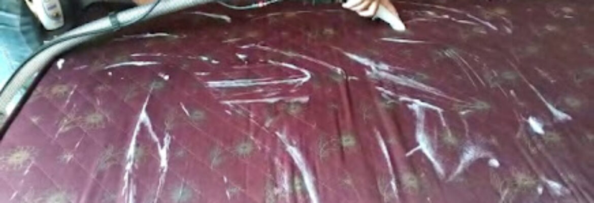 Pooja Sofa Cleaning Service