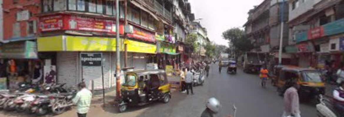 Ant Organic Pest Control Pune