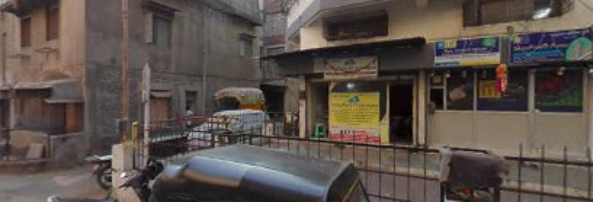 Ant Herbal Pest Control Pune